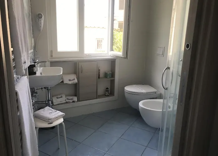 Nereide 住宿加早餐酒店 特罗佩阿